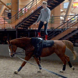 Le pôle européen du cheval - Boulerie jump